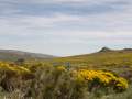 vista de gredos